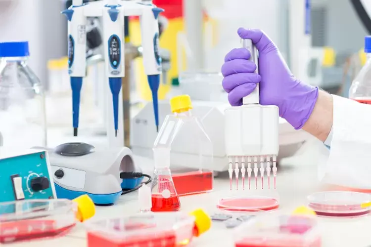 Laboratorium Halal: Penjaga Akurasi dan Kepercayaan dalam Proses ...